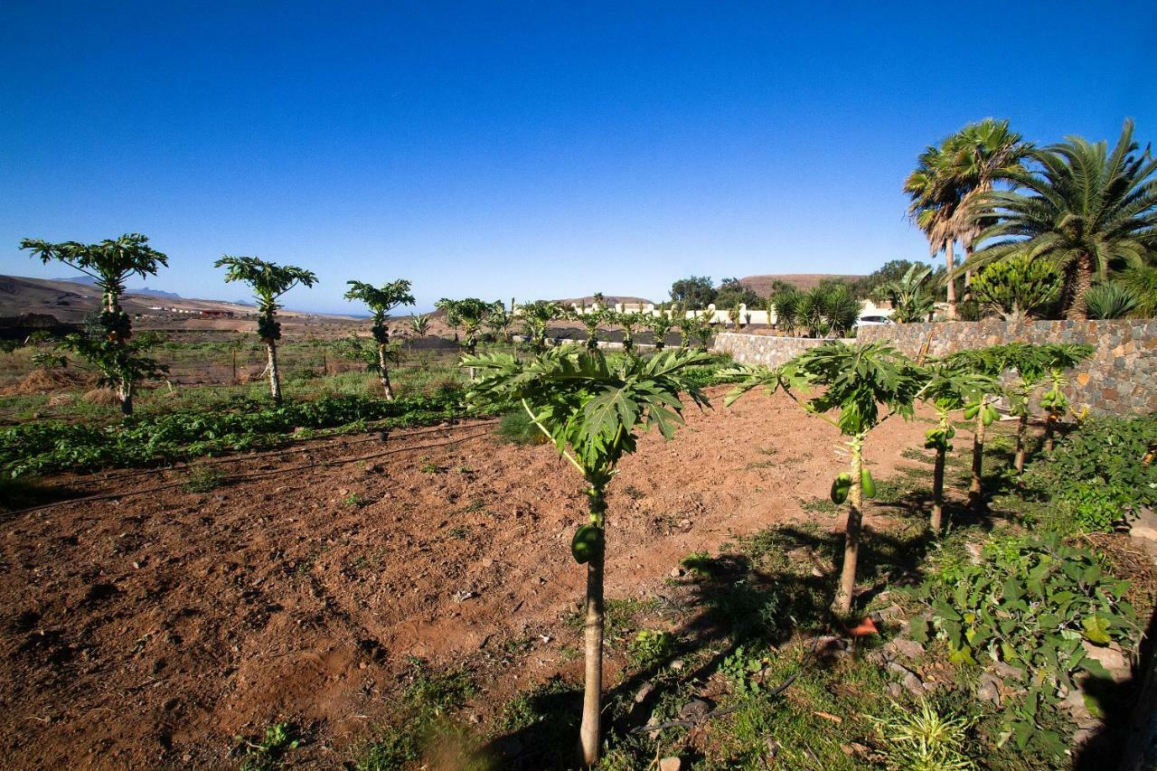 Finca Arbequina Pájara المظهر الخارجي الصورة